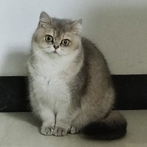 曾经的梦想