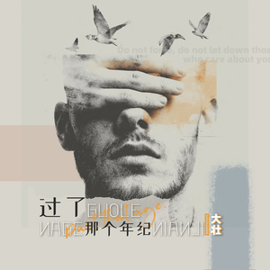 过了那个年纪 (DJ阿卓版)