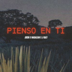 Pienso en Ti