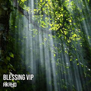 Blessing VIP
