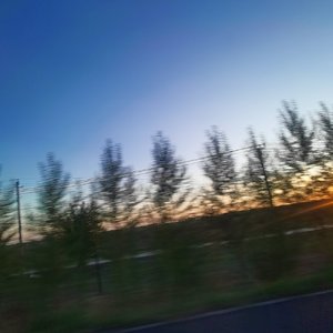 预制爱