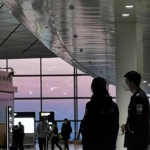 C8H11NO2（Prod By Ljx Ghost）