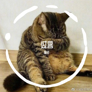 我不是你的宋东野（翻自 東文先生）