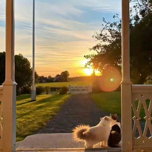 藏于心底的心愿