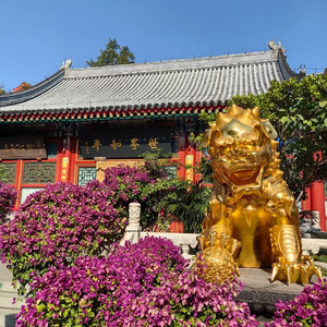 礼敬药师佛十二大愿