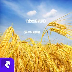 金色的麦田 (现场)