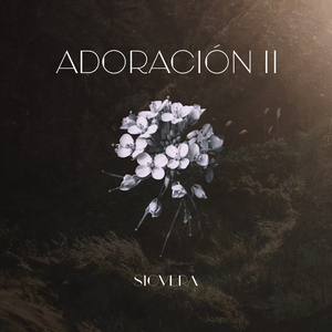 Vasijas Rotas (Sublime Gracia)