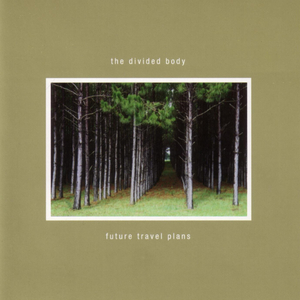 Circling For A Landing