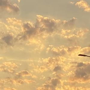 没名字Prod.by #Rye & INKA