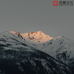 夏与星的约定 -古筝