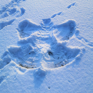 Knut (FX Remaster Version)