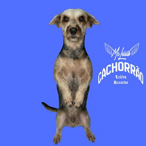 Cachorrão