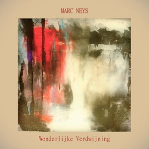 Wonderlijke Verdwijning