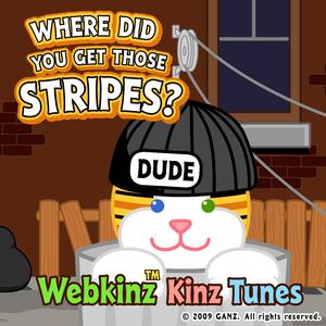 Where did you get those Stripes