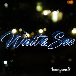 Wait & See