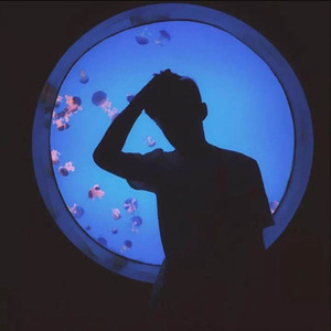 第三人称（Cover Hush!）