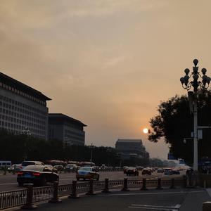 盛夏的果实