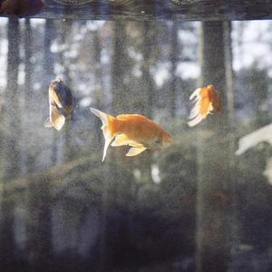三角题 (Cover二珂)