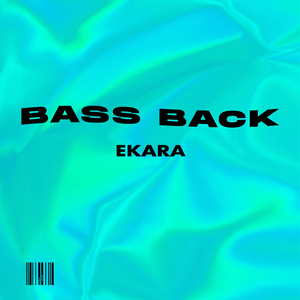 Bass Back