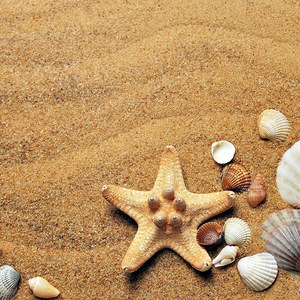 谢谢你的回忆 (宝宝催眠曲)