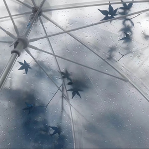 我与你稍纵即逝