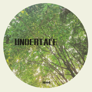 Toby Fox-His Theme（HU小希 remix）