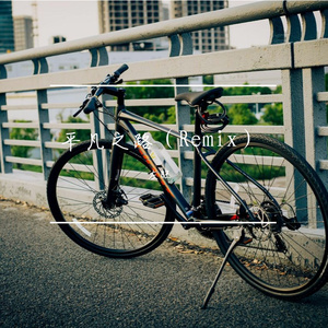 平凡之路（Remix）