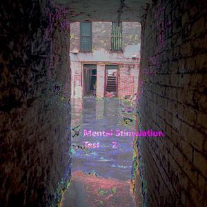 Mental Stimulation Test 2