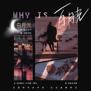 白月光为什么是白月光