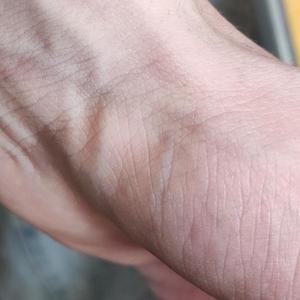 春风何时来(DJ版)（翻自 何官锭AL）