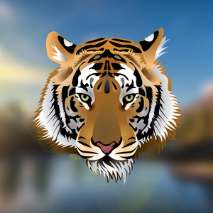 Tiger Song