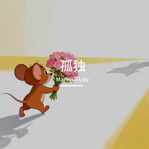 我们的故事像一场流星