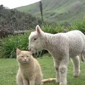 It's Always The Little Things（翻自 郭顶）