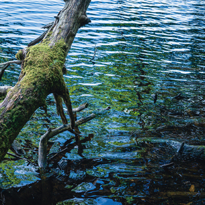 Colorful town walking