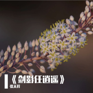 《写在空中的诗行 》