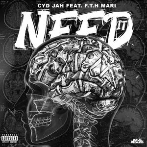 Need It (feat. F.T.H Mari)