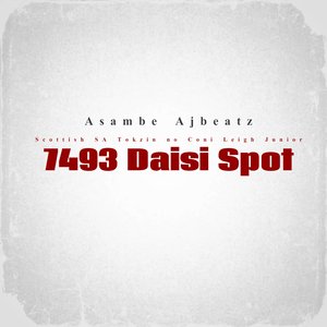 7493 Daisi Spot