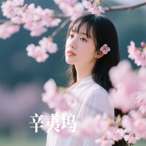 辛夷坞