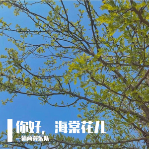 你好，海棠花儿
