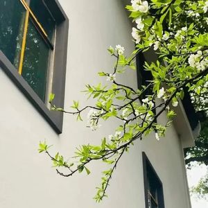 周四