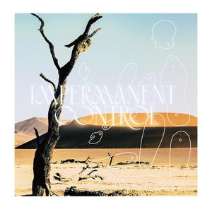Impermanent Control