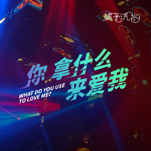 你拿什么来爱我（DJ电音版）