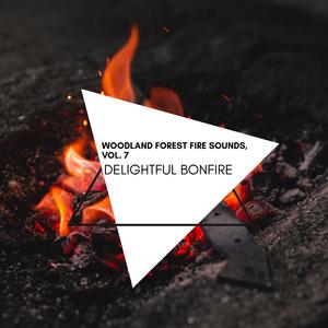 Fire Noise Palm Garden