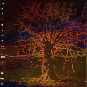 Do Aetherial Beings Have Wings?