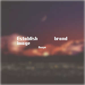 Establish brand image