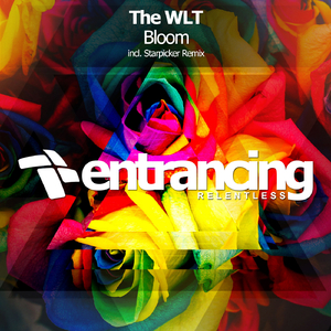 Bloom (Starpicker Remix)