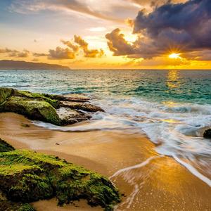 你的爱深深触动了我的心