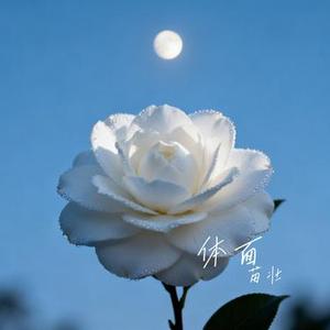 体面