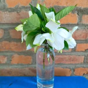 夏日里的小灰灰