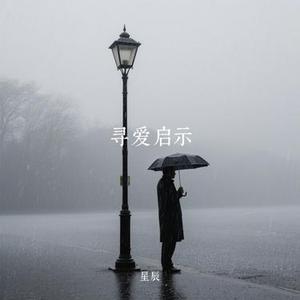 寻爱启示 (Cover 灼夭)